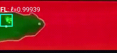 A.I.-Powered Accuracy