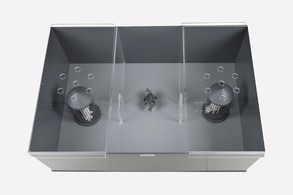 46553 Sociabilty Box Glass Cover 01