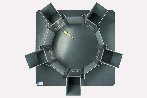46573 Agora Maze