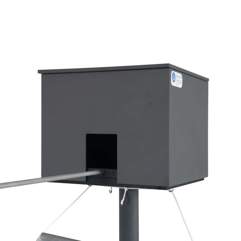 Balance Beam walking Test