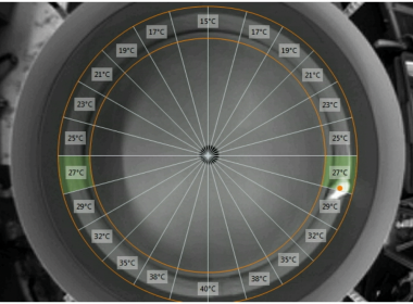 Viedo-tracking of the mouse while using the TGR