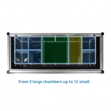 Animal Enclosures, form 3 large chambers for rats up to 12 small chambers for mice