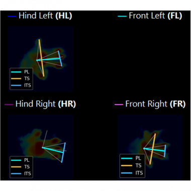 48203 GA.I.T Analysis, AI digits paw spreading