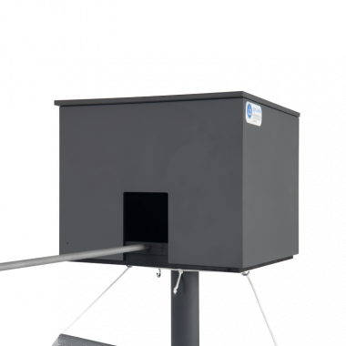 Balance Beam Walking Test, Hen close-up